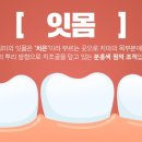 조은미소치과의원 이미지