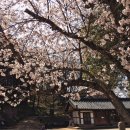 고창 다온 이미지