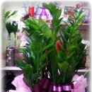 YG골프아카데미 이미지