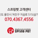 스프링펫 - 수원시 영통구 인계로 254 | 스프링펫