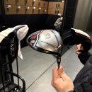 라베스크린골프 이미지