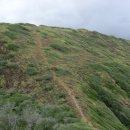 하와이낚시터 이미지