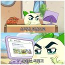 한국고양이혈액센터 이미지