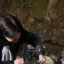 큰마당 오토캠핑장 이미지