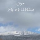 색달동-24 이미지