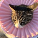 진심커머스 이미지