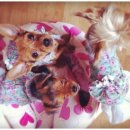 부림중학교 이미지