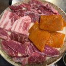 신부산갈매기 이미지