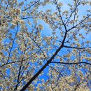 공원매점 이미지