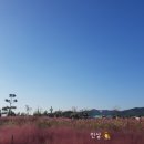 주포주유소 네이버블로그