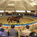 일간목장 이미지