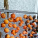 서수농장 이미지