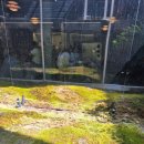 봉산문화길 | 대구 봉산동 봉산문화길 카페 크로키 (자연 감성 인테리어 카페 방문기)