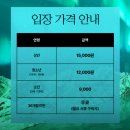 디엠타워 3관 | [안산] 초지동 미디어아트카페 몽환 (내돈내산 후기)