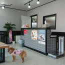 소사프라임동물병원 이미지