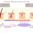 모블리스 이미지