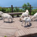 대현3리동곡 이미지