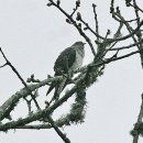 허 한의원 이미지