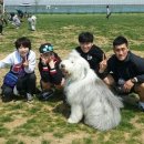 다이나믹 복싱 이미지