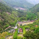 고산자연휴양림 이미지