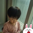 푸름이어린이집[아이행복] 이미지