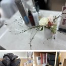 에이치헤어샵 - 구미시 봉곡동로 37 | 잠실 차분한 분위기 헤어샵｜에이치플레이스 잠실학원사거리점 후기