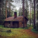 산림기능사 국가기술자격증 이미지