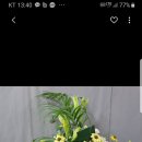 공주꽃집