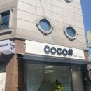 코코속눈썹