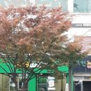 e해박난치과의원 이미지