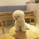 킴스카페 이미지