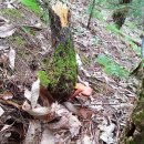 달맞이농장 이미지