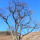 요동환경 이미지