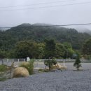 별담달담 이미지