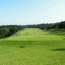 노송골프 이미지