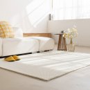 사계절세탁소 | 먼지없는 사계절 워셔블 모노 아트 러그, 대형 거실 단모 온감 카페트 100x150