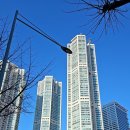 콜렉티보 현대목동점
