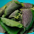 사계절 밑반찬 요리 이미지