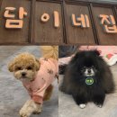담이네 | 첨단 애견카페 [담이네집] 첨단데이트코스 애견미용 놀거리 추천