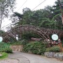 입화산참살이숲야영장 | 입화산 참살이숲 야영장 삼겹살 파티 feat. 통돌이