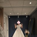 뉴청스튜디오 | 내돈내산 더뉴컨벤션 패키지 후기 3 - 로브아 스튜디오 (no 플래너)