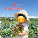 일동예일어린이집 | 안산 일동 이동 어린이집추천 안산예일어린이집