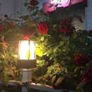 케이팝코인 노래연습장 이미지