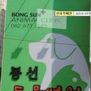 봉선동물병원 Daum카페