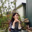 보브헤어클리닉