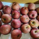 재천농장 이미지