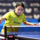 개방탁구 이미지