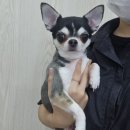 오구오구살롱 이미지