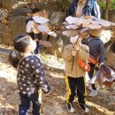 샘물어린이집 놀이터 | [구립행복한숲어린이집] 매주 수요일, 나는 도토리 선생님이 된다.