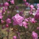 노벨생태어린이집 이미지